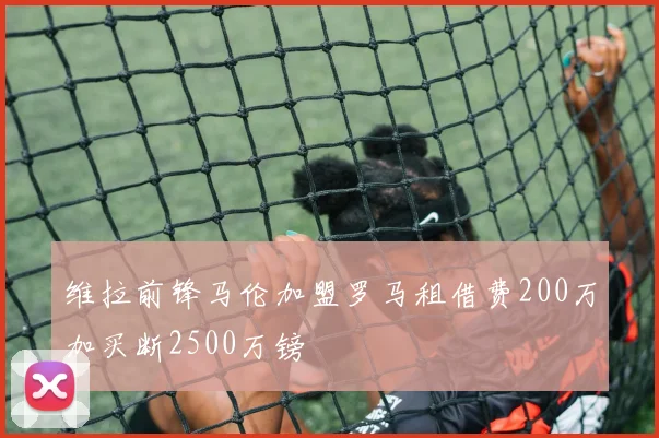 维拉前锋马伦加盟罗马租借费200万加买断2500万镑