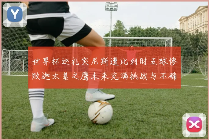 世界杯巡礼突尼斯遭比利时五球惨败迦太基之鹰未来充满挑战与不确定性